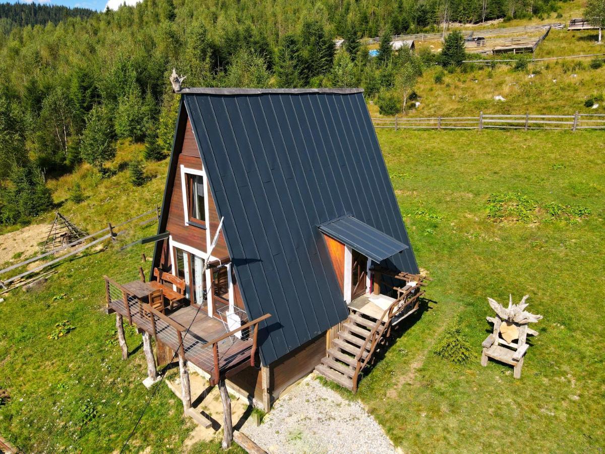 Oak House Apartment Palyanytsya Exterior foto