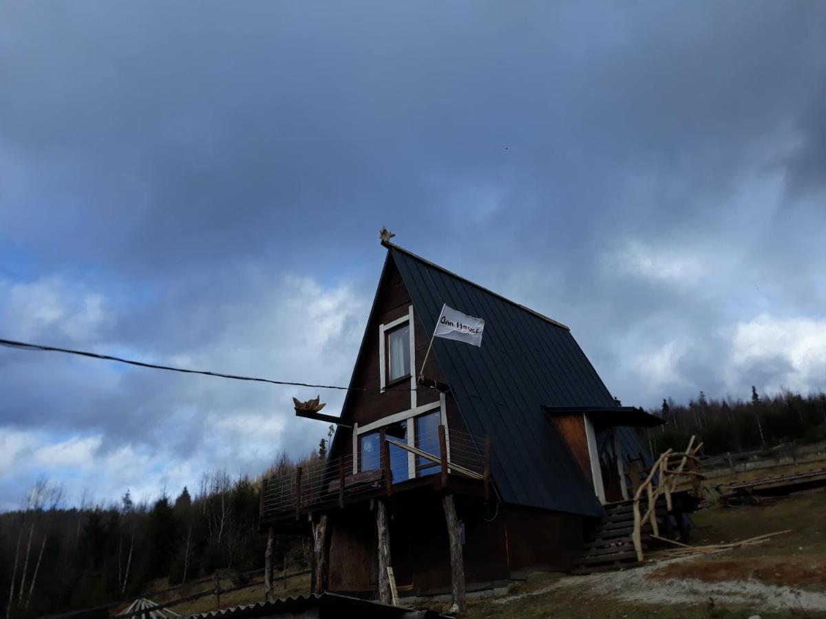Oak House Apartment Palyanytsya Exterior foto