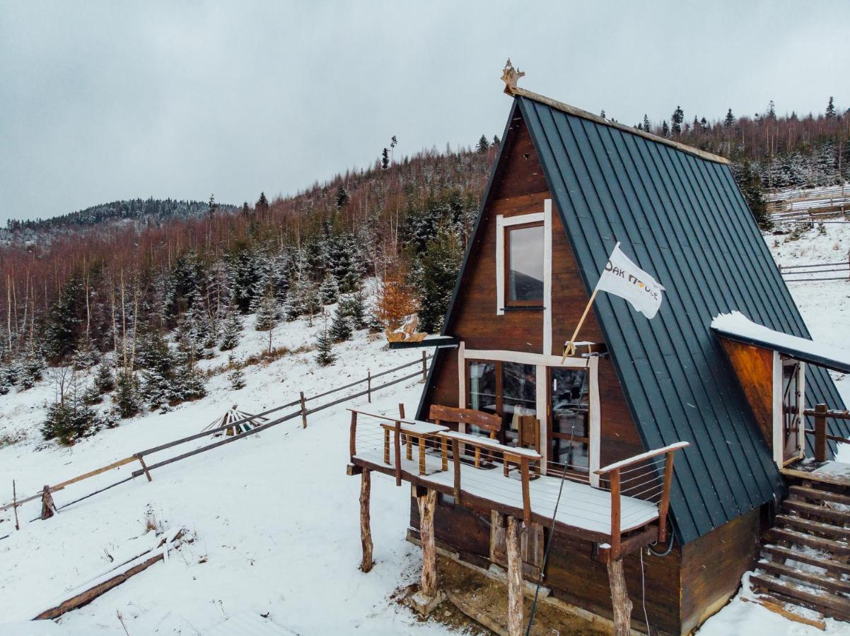 Oak House Apartment Palyanytsya Exterior foto